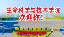 平特一肖论坛